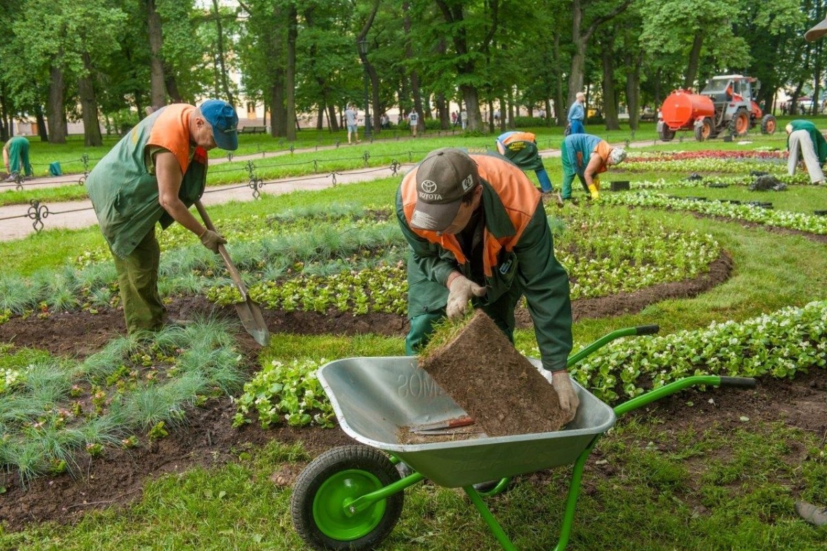 Работают на территории. Рабочий по благоустройству. Рабочий по благоустройству территории. Рабочий по озеленению. Услуги по озеленению и благоустройству территорий.